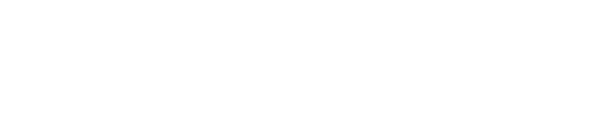 Fukuhara DASH8 Net